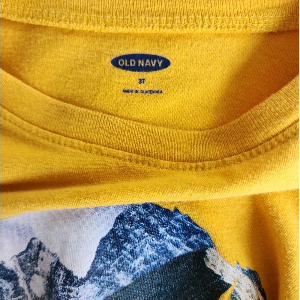 Kid's 3t Old Navy‎ Graphic T-Shirt Buffalo Landscape Print Long Sleeve Top Fall